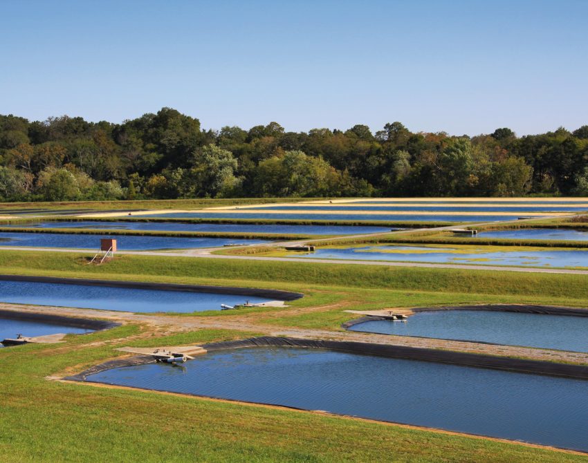 Aquaculture — pond and hatchery zone